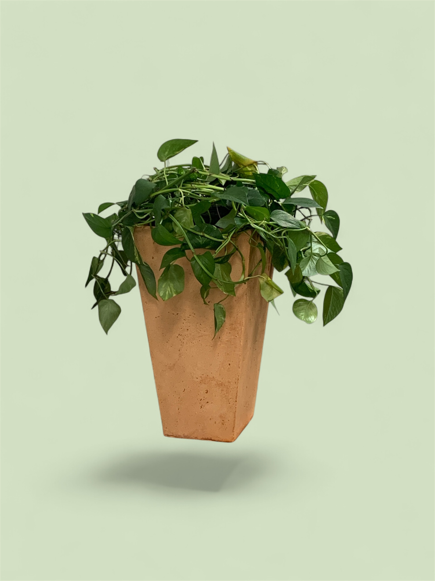 The Tower Planter